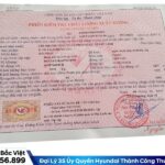 Thông tin về trọng tải trong phiếu kiểm tra chất lượng của xe tải Hyundai