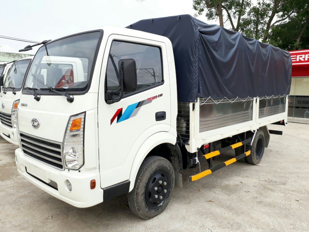 Teraco 230 vrachtwagen met huif