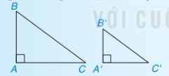 Tam giác vuông đồng dạng trường hợp góc-góc