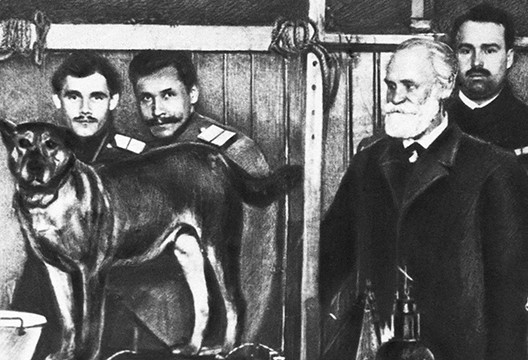 Ứng dụng thí nghiệm Pavlov trong điều trị tâm lý