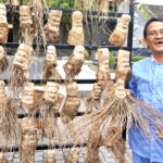 Nghá»‡ nhÃ¢n rÄƒng sÃºn á»Ÿ phá»‘ Há»™i báº¯t gá»‘c treâ€¦ báº­t cÆ°á»i - 1
