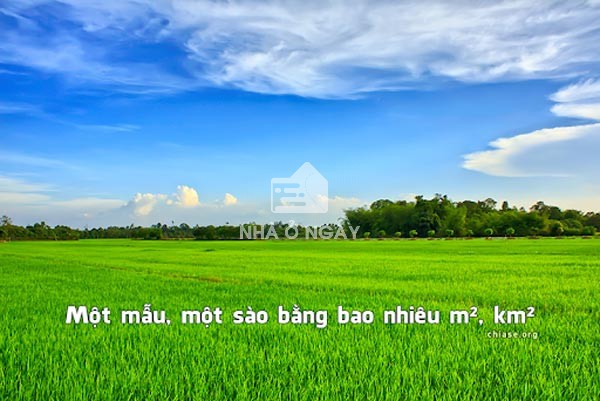 Mét vuông là gì?