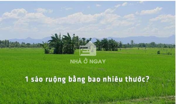 Bảng so sánh diện tích sào ruộng theo vùng miền