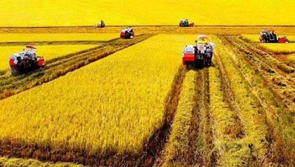 Quy đổi các đơn vị đo diện tích