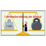 50 tấn bằng bao nhiêu kg? Đơn vị đo lường phổ biến