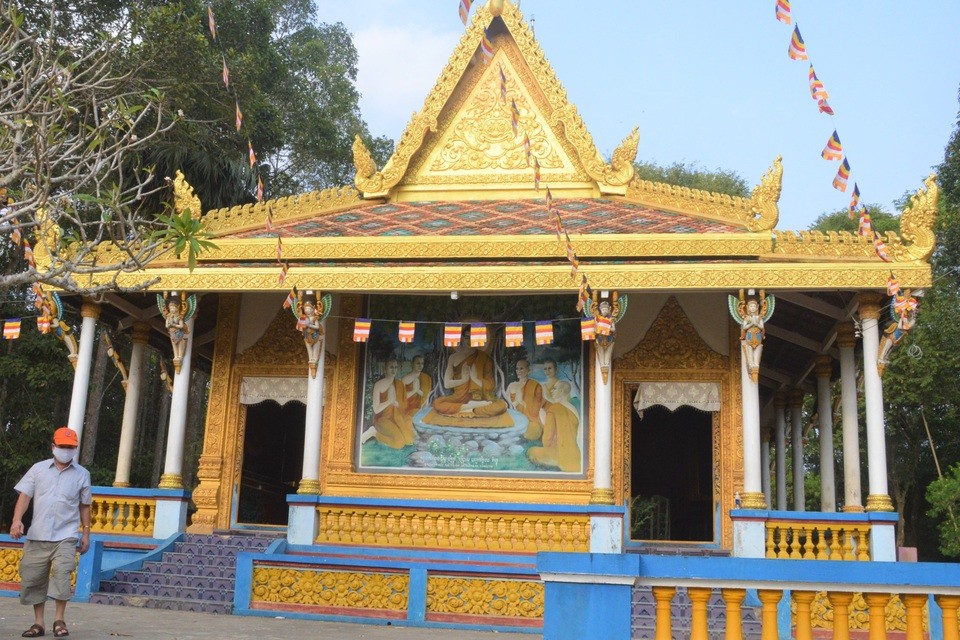 Dơi mẹ dạy con non bay lượn và kiếm ăn
