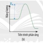 Ảnh minh họa chất xúc tác làm giảm năng lượng hoạt hóa