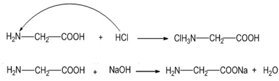 Hình ảnh minh họa cấu trúc phân tử Glyxin