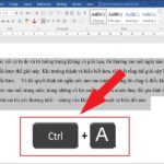 Bôi đen toàn bộ văn bản bằng Ctrl + A