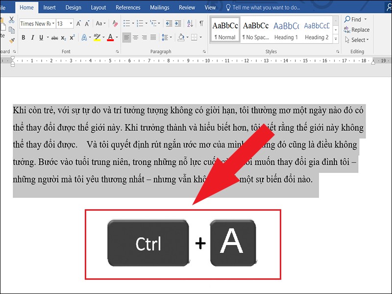 Bôi đen toàn bộ văn bản bằng Ctrl + A