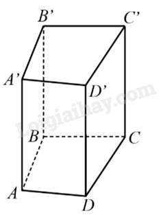 Hình lăng trụ tam giác đều với đáy là tam giác đều và các mặt bên là hình chữ nhật