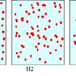 Phân bố đồng đều của cây trồng trong nông nghiệp