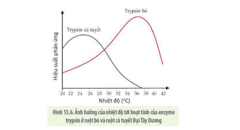 Nhiệt độ