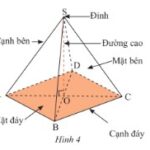 Hình chóp tứ giác đều với đáy là hình vuông và các mặt bên là các tam giác cân bằng nhau