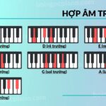 Cấu trúc giọng Son trưởng