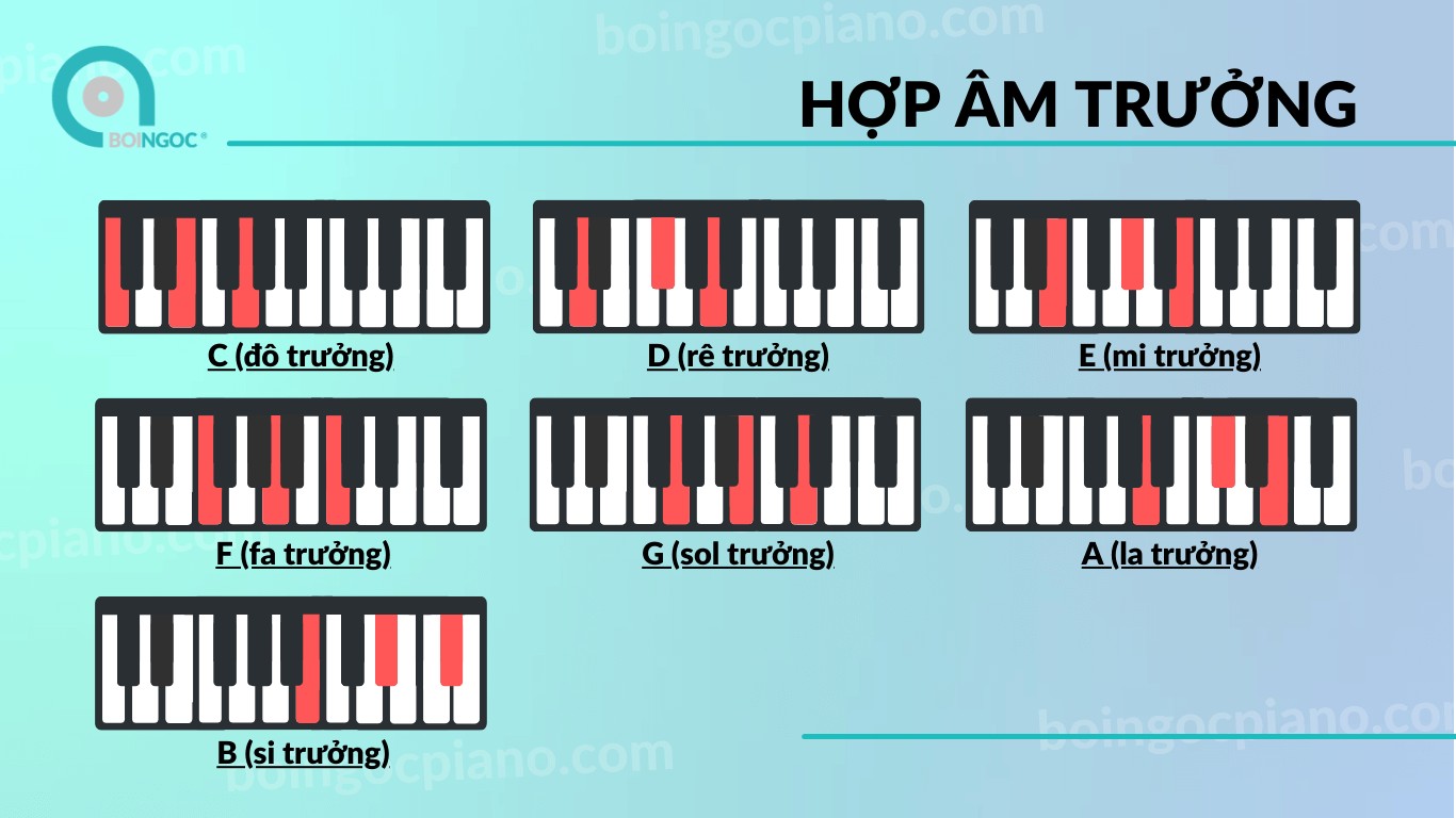 Cấu trúc giọng Son trưởng
