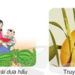Hình ảnh minh họa về các nhân vật trong truyện cổ tích, ngụ ngôn, đồng thoại và phim hoạt hình