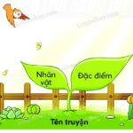 Sự tích hoa cúc trắng