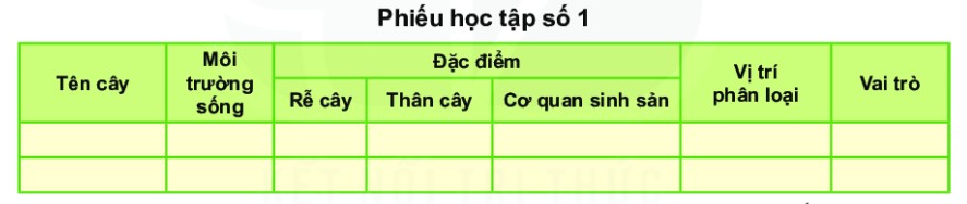 Phiếu quan sát thực vật