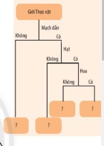Ví dụ minh họa khóa lưỡng phân đơn giản