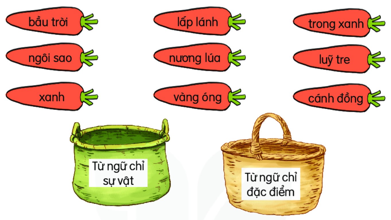 Ngôi sao lấp lánh