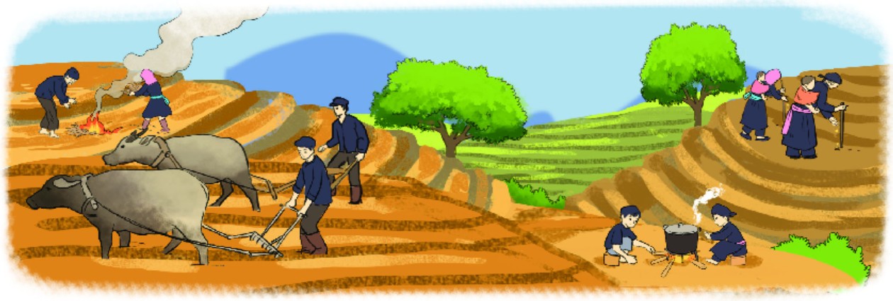 Bầu trời đầy sao lấp lánh vào ban đêm