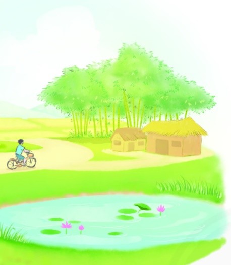 Đường bê tông sạch đẹp ở các vùng nông thôn mới
