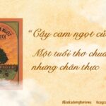 Cây cam ngọt của tôi