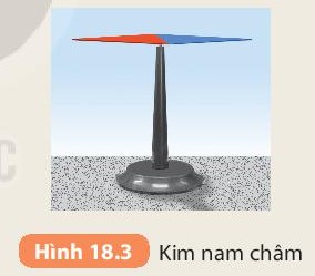 Kim nam châm tự do luôn chỉ hướng Bắc Nam
