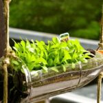 Tái chế rác thải nhựa để bảo vệ môi trường