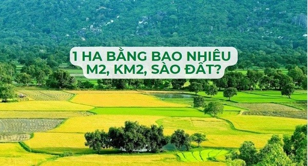 Hình ảnh một bãi đỗ xe tải rộng lớn, chú thích: Tính toán diện tích bãi đỗ xe tải là một ứng dụng quan trọng của việc quy đổi hecta sang mét vuông