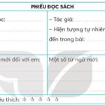 Ánh nắng ban mai chiếu rọi qua những hàng cây, tạo nên khung cảnh tuyệt đẹp.