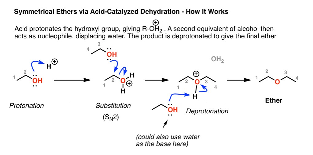 Cơ chế phản ứng tạo dimethyl ether từ methanol và axit sulfuric