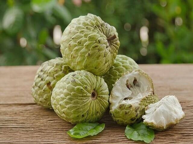 Quả na hay còn gọi là mãng cầu ở miền Nam