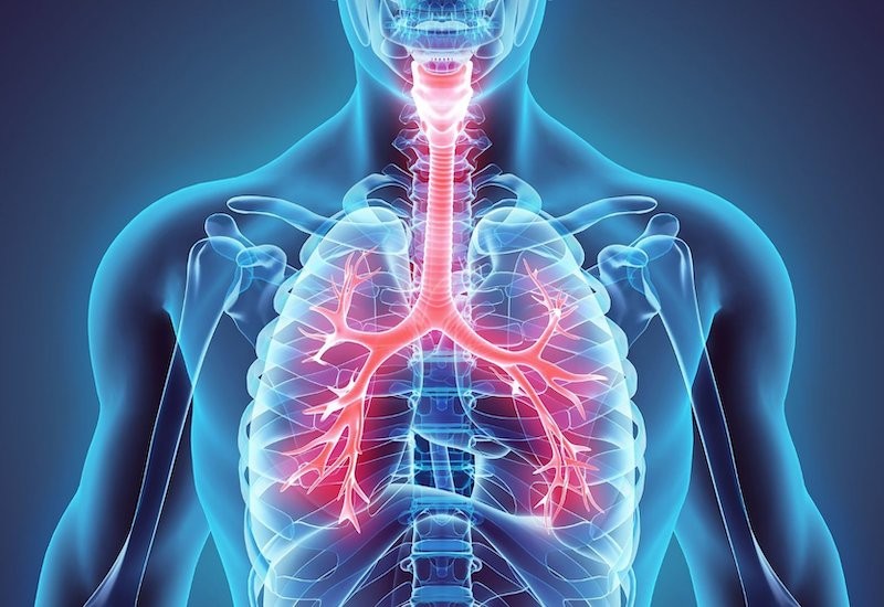 Hình ảnh minh họa quá trình trao đổi khí oxy và carbon dioxide trong phổi