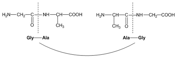 Công thức cấu tạo của các tripeptit khác nhau
