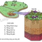 Cấu trúc các tầng đất