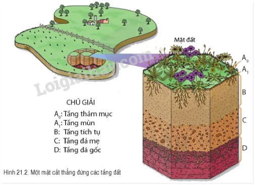 Cấu trúc các tầng đất