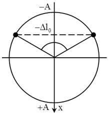 Con lắc lò xo thẳng đứng
