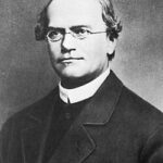 Gregor Mendel, cha đẻ của di truyền học, người đặt nền móng cho các nghiên cứu về menđen đậu hà lan