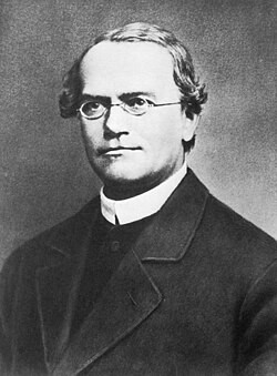 Gregor Mendel, cha đẻ của di truyền học, người đặt nền móng cho các nghiên cứu về menđen đậu hà lan
