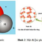 Cấu tạo phân tử nước