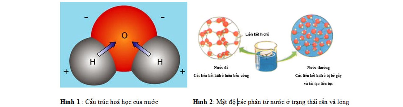 Cấu tạo phân tử nước