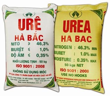 Hình ảnh lá cây bị thiếu đạm, lá vàng úa