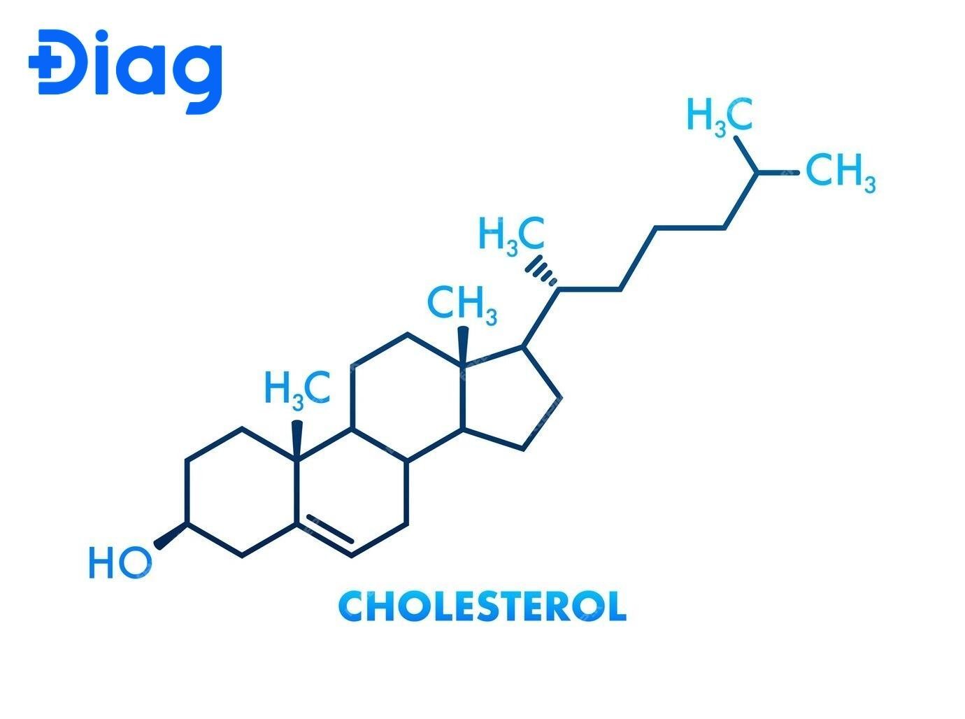 Cholesterol HDL-C giúp loại bỏ cholesterol dư thừa khỏi máu và đưa nó trở lại gan để xử lý.