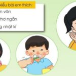 Kiểm tra xe tải thường xuyên để đảm bảo an toàn và hiệu quả vận hành