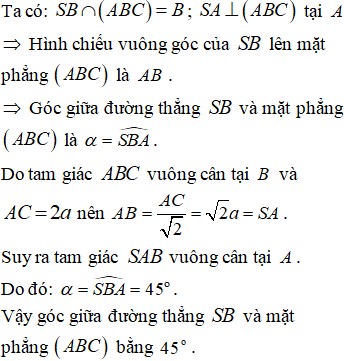 Hình chóp tam giác đều