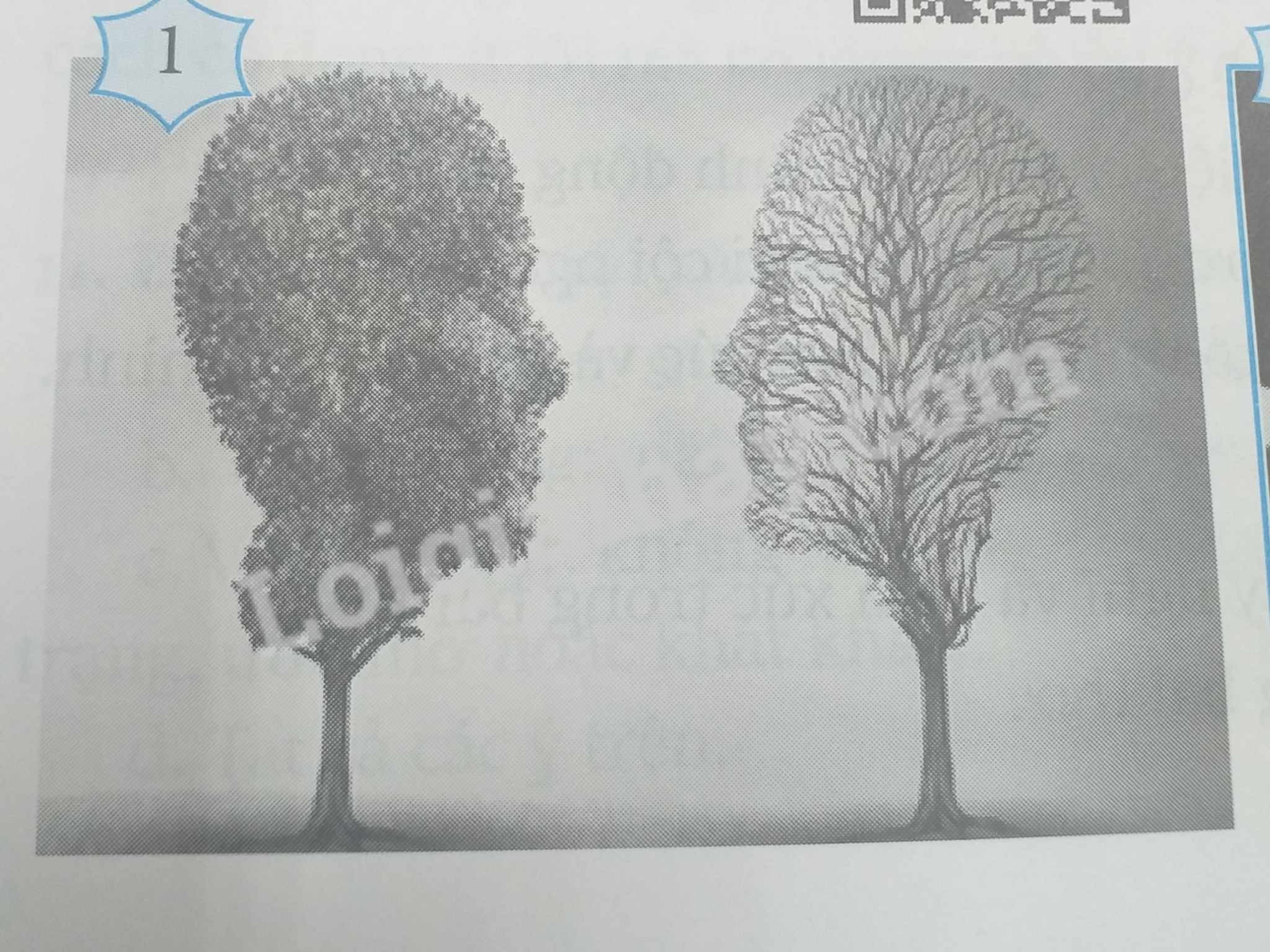 Cây xương rồng mạnh mẽ trong điều kiện khắc nghiệt, tượng trưng cho sự kiên cường học hỏi từ cuộc sống