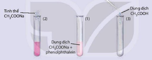 Ảnh hưởng của nồng độ đến cân bằng hóa học