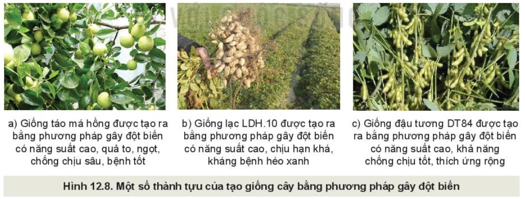 Sơ đồ tư duy về lực tiếp xúc và lực không tiếp xúc
